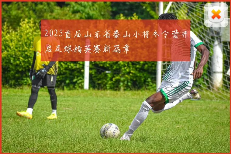2025首届山东省泰山小将冬令营开启足球精英赛新篇章