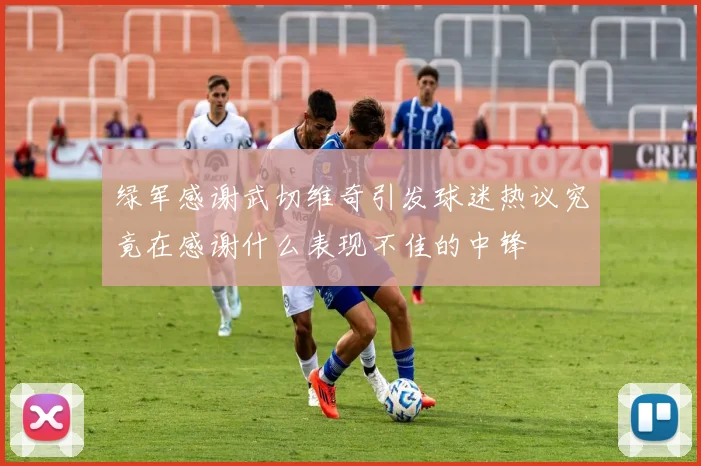 绿军感谢武切维奇引发球迷热议究竟在感谢什么表现不佳的中锋