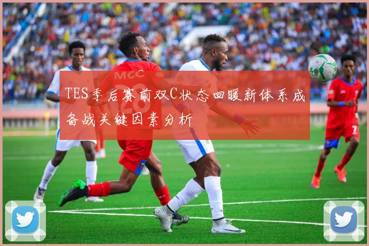 TES季后赛前双C状态回暖新体系成备战关键因素分析