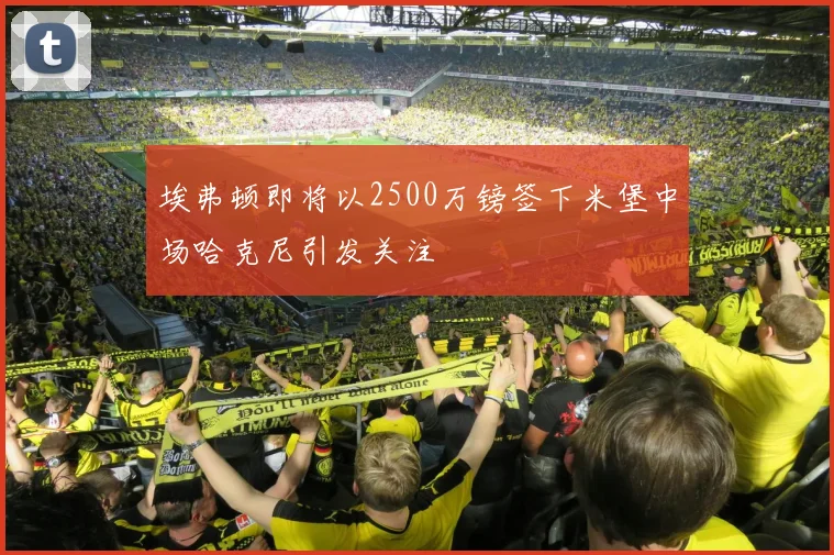 埃弗顿即将以2500万镑签下米堡中场哈克尼引发关注
