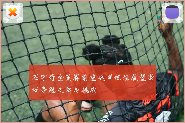石宇奇全英赛前重返训练场展望羽坛争冠之路与挑战